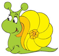 Snail image